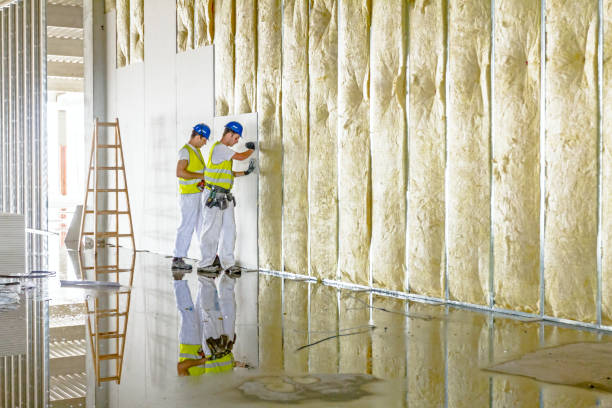 Best DIY Insulation Kits and Guidance in Simpsonville, SC
